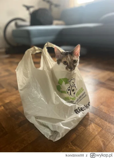 kondziox88 - W Biedronce super weekend. Z kartą moja biedronka dostałem taką niespodz...