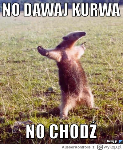 AusserKontrolle - tylko na to cie stać grubasie? 
#gielda