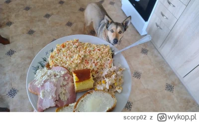 scorp02 - @scorp02: można sb podjeść cool