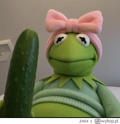 Z4B4 - DOBRANOC WYKOP