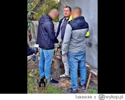 T.....k - Zobaczcie jak aleksik jest niezdrowo podniecony. Oj będzie waliny konik ( c...