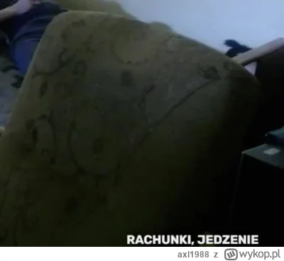 axl1988 - #danielmagical ale sobie tam elegancko robaki zasuwają #patostreamy #patost...