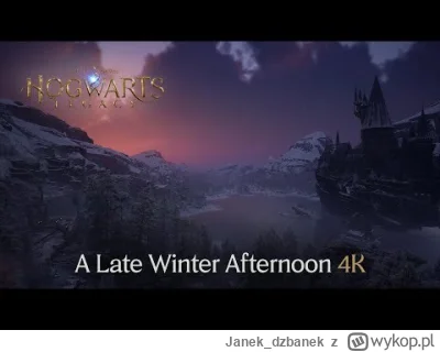 Janek_dzbanek - Zimowy ASMR

#hogwartslegacy