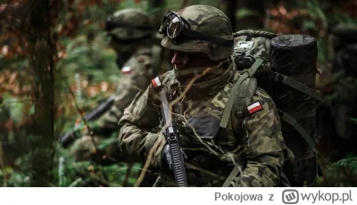 Pokojowa - W Polsce rozpoczyna się kolejny etap podstawowego programu szkolenia wojsk...