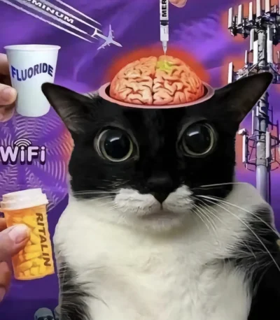 gwda - @innv: Śmiercionka mRNA zbiera żniwa, włączcie myślenie.