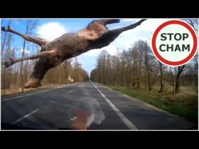 Rad-X - Ale się w-------m na tą babę od 0:20
 CZEMU TY TAK WOLNO JEDZIESZ? 
xD

#pols...