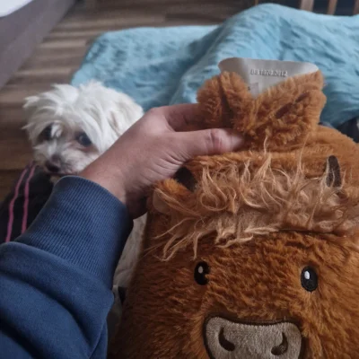 Dequstator - #przegryw #pokazpsa termofor z wrzątkiem pod kordłą pod stopami jak jest...