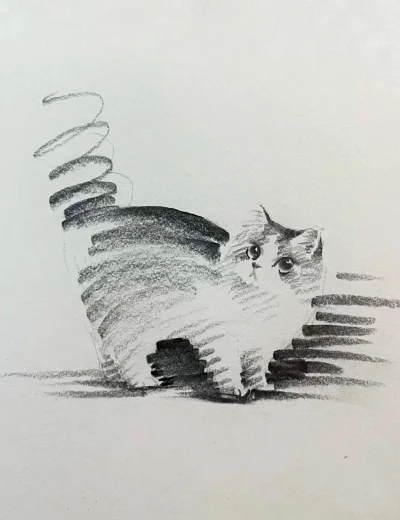 PorkaTurbo - @PorkaTurbo: