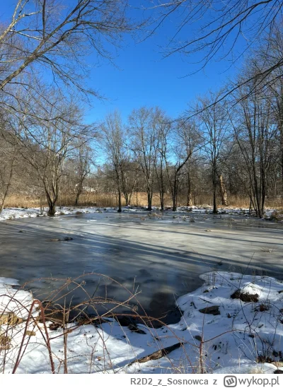 R2D2zSosnowca - @R2D2zSosnowca lutowe