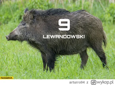 arturro94 - @Minieri