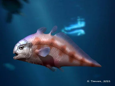 Loskamilos1 - Powiadam wam, są na tym świecie rybki, o których nie śniło się filozofo...