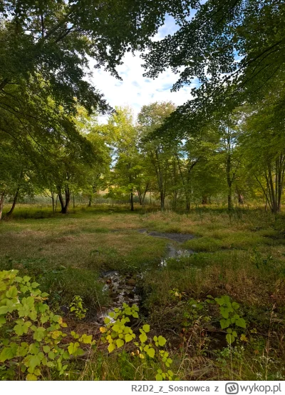 R2D2zSosnowca - @R2D2zSosnowca 10.1