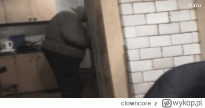 clowncore - @vivijes_official: Ja wybieram Krzysztofa Kononowicza