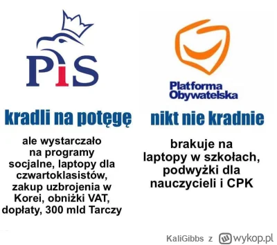 KaliGibbs - #famemma #pis#po#sejm#tusk#kaczyński
