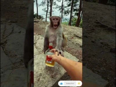 Moczymorda77 - @Geppetto: