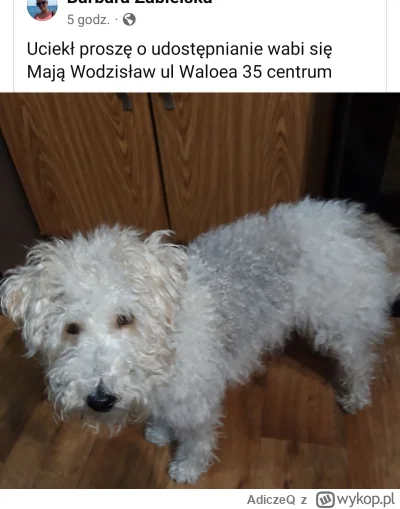 AdiczeQ - #heheszki #pdk  Widział ktoś może? ( ͡º ͜ʖ͡º) ciekawe imie