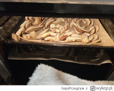 GajuPrzegryw - #grzyby #heheszki #wtf

Chłop co se podgrzybki i prawdziwki suszy od 2...