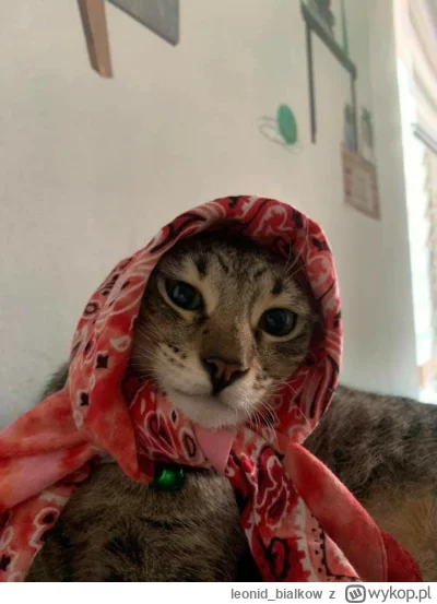 leonid_bialkow - @wfyokyga: zostaw dziadka bo un słabe serce ma