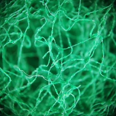 Piter_Pitersky - No dobra to moze mala gra - kto zgadnie co to ;>?

#fotografia #makr...