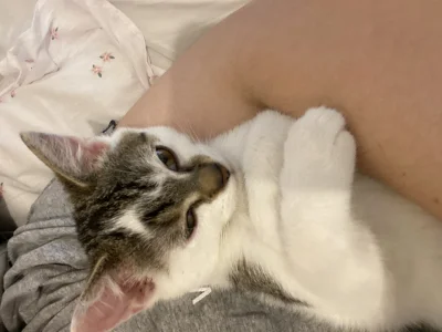 paulina-maciazek - taki dzisiaj