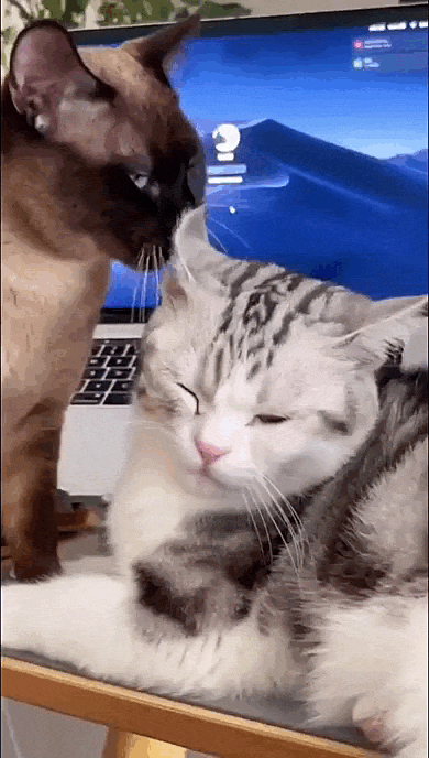 jestemtakizmeczony - @jestemtakizmeczony: