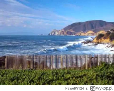 PawelW124 - >Kalifornia
@Van-der-Ledre: @RadosnaKloaka @Scarfacee