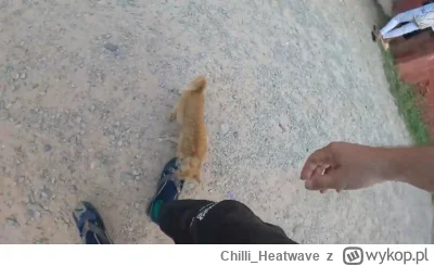 Chilli_Heatwave - #raportzpanstwasrodka #popaswpieprz 

To jakieś nowe trepcedesy?

W...