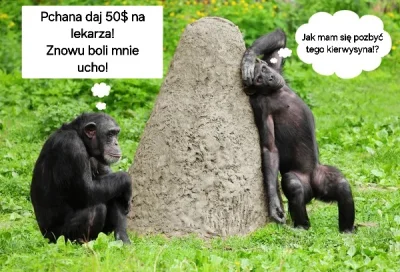 JozefG_34 - #raportzpanstwasrodka 
Gdy Zezol w podróży i nie ma kto pożyczyć na Cambo...