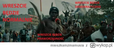 mieszkamzmamusia - #wybory #polska #bruksela #belgia #szwecja #islam 
Będzie normalni...