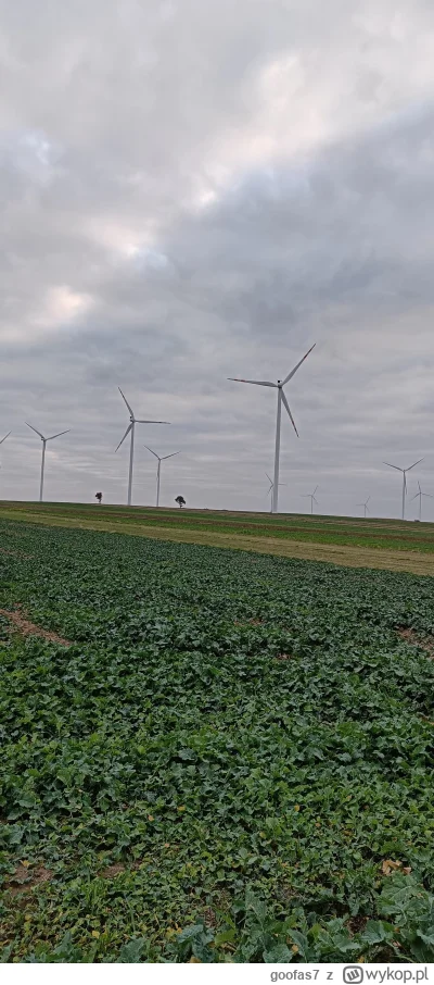 goofas7 - 337 998 + 68 + 75 + 53 + 80 + 68 + 111 + 67 + 121 + 65 = 338 706

Dzisiaj t...