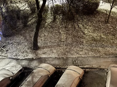 MePix - @grilus_afrikanus: @login0654 @Myszo