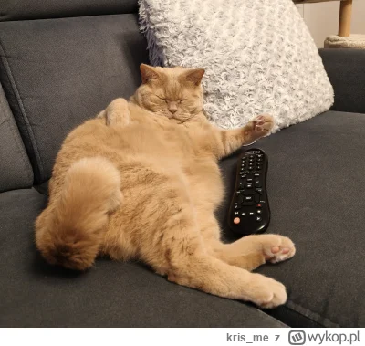 kris_me - Moj kot wygląda jak twój stary: niby śpi, chrapie jak traktor, ale jak tylk...