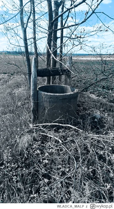 WLADCA_MALP - Pierwsze skojarzenie?
#zdjeciatarzana