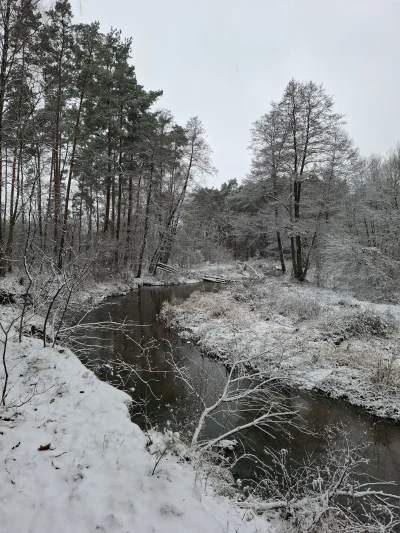 Gontyn- - #przegryw #spierdotrip