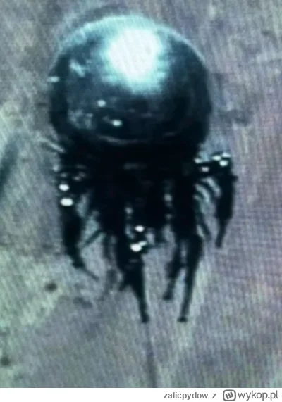 zalicpydow - @daniello87: na oryginalnym zdjeciu nie ma nic takiego