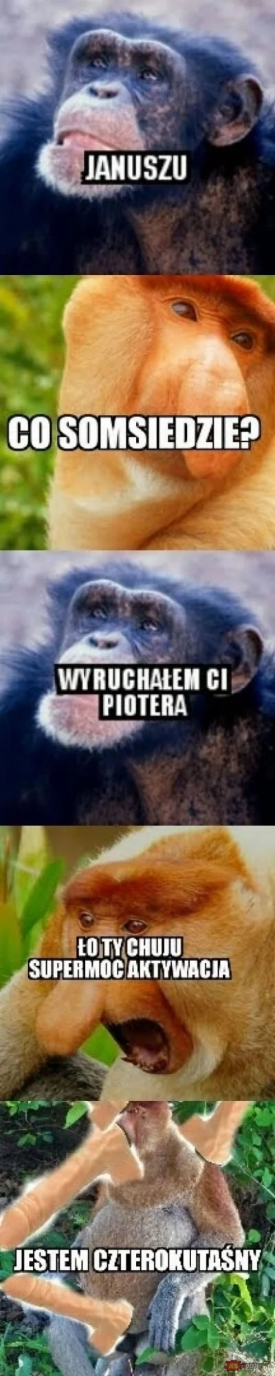 pawello321 - #konkursnanajbardziejgownianymemznosaczem
#kolekcjaklasyki