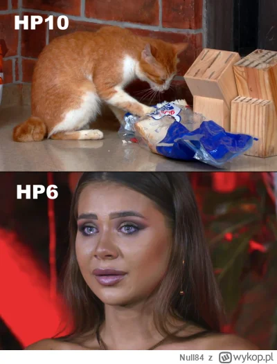 Null84 - #hotelparadise Mem międzysezonowy, czyli o rajski boże, widzisz marnowanie t...