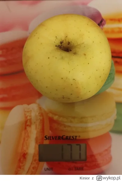 Kinior - @davvidofff to pa to. Inne jabłko z tej samej partii. Ile kcal ma 7g jabłka?