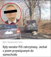 washington - @adam128256: za autami na linie też przestaniecie psy ciągać?