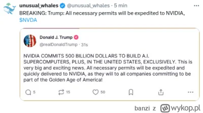 banzi - Królowa wraca na salony

#gielda #nvidia