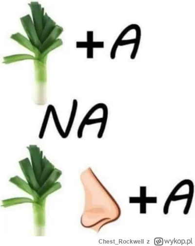 Chest_Rockwell - @wankstain