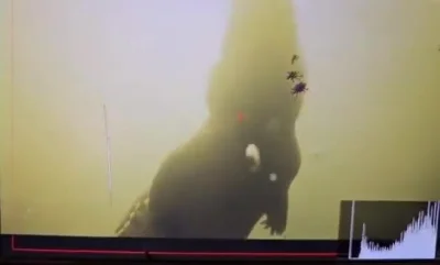 Krole - GET OVER HERE!

mirror https://dubz.link/c/b978ae

#trzecieoko