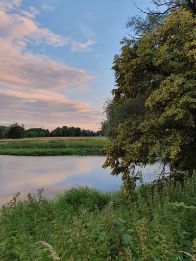 remlezar - #przegryw #spierdotrip

Wczoraj huop pół dnia siedział nad wodą, aż przysz...