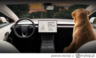 piotrek-michal - 94% badanych nie stać na samochód xD