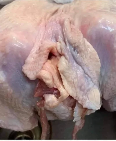 j23j - #pytanie #p0lka kto dzisiaj też #kurczak plusik