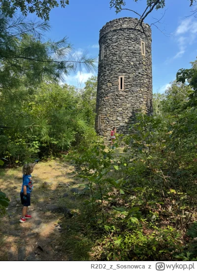 R2D2zSosnowca - @R2D2zSosnowca 

Przez to, że dzieci w domu do wyboru to wybrałem ran...