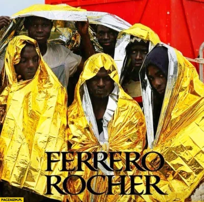 game_changer - @DzikiJelonek: takiego nie ( ͡º ͜ʖ͡º)