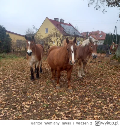 Kantorwymianymysliiwrazen - @bedejutro: Wiem jakich.
Mówiłes coś, masz jakis problem?...