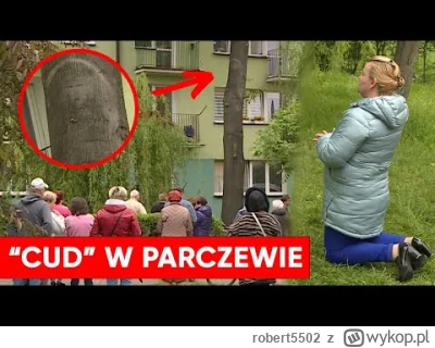 robert5502 - Przypomnijmy "cud" w Parczewie ( ͡º ͜ʖ͡º)
Tak, ci ludzie maja prawa wybo...