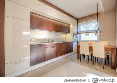 Zielonykubek - Zna się ktoś na stolarstwie? Czy możliwe jest żeby taka kuchnia (zabud...